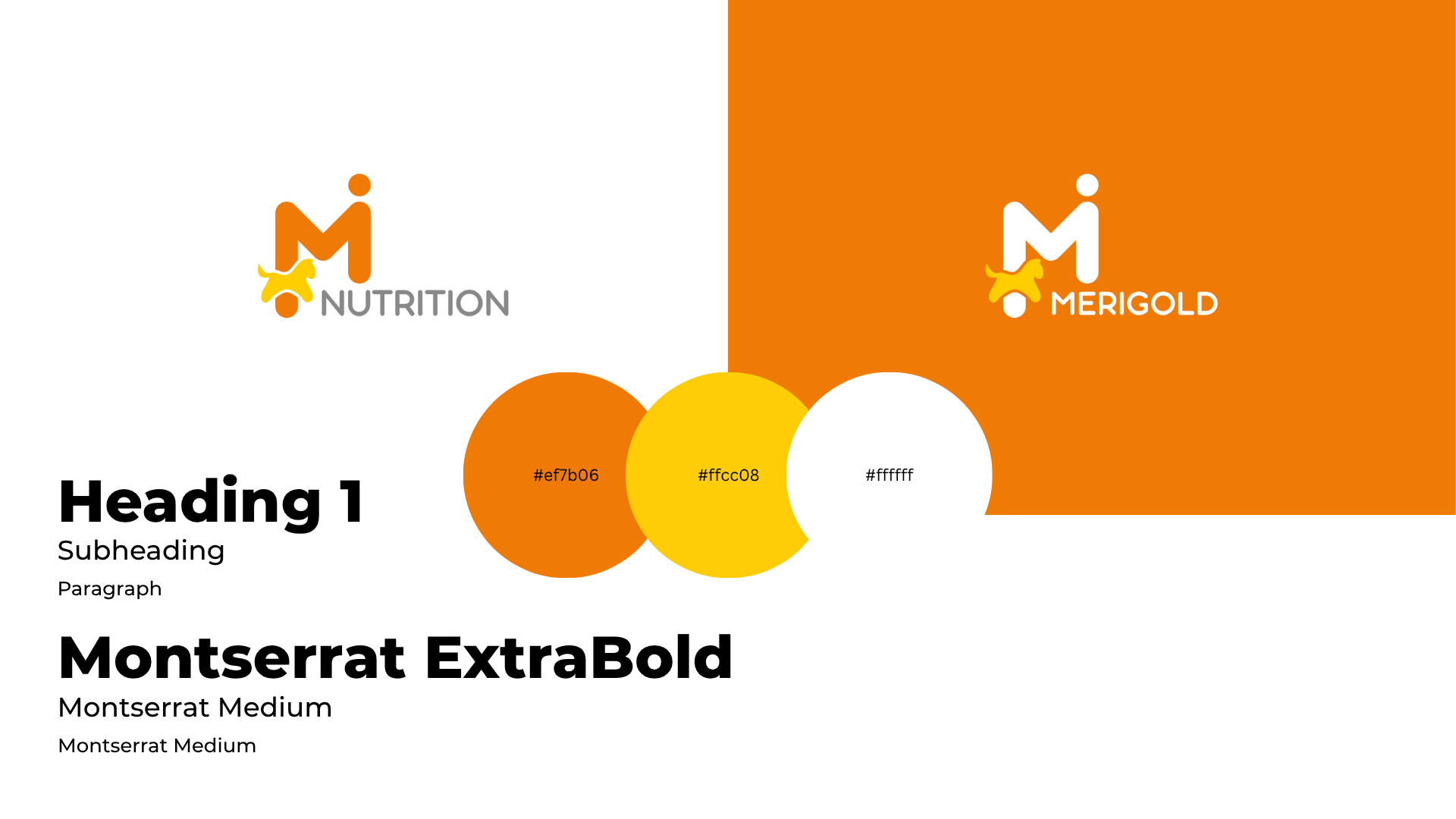 Merigold brand identity overview