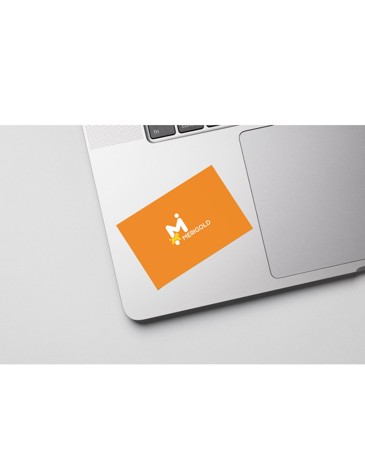 Logo application mockup 3