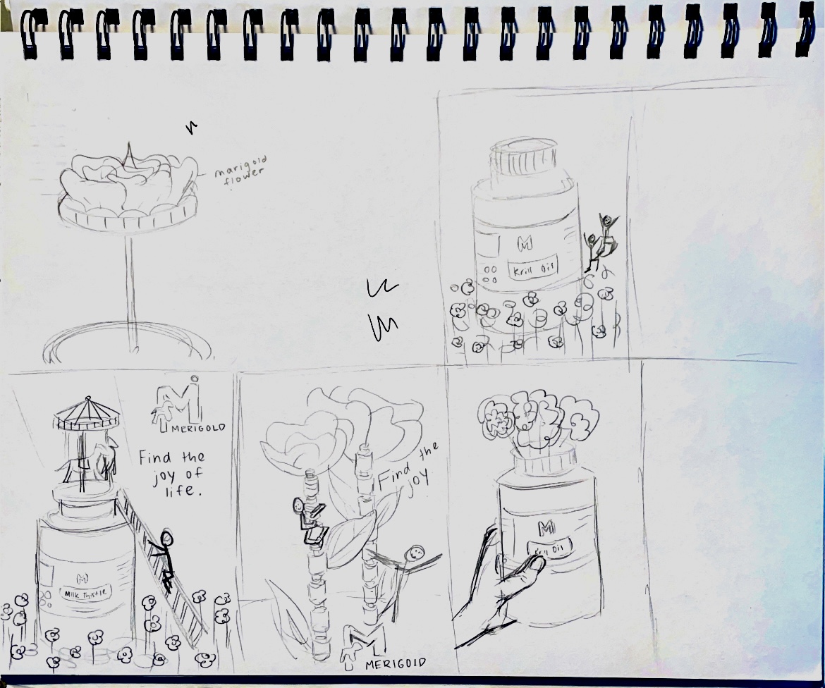 Merigold poster concept sketches