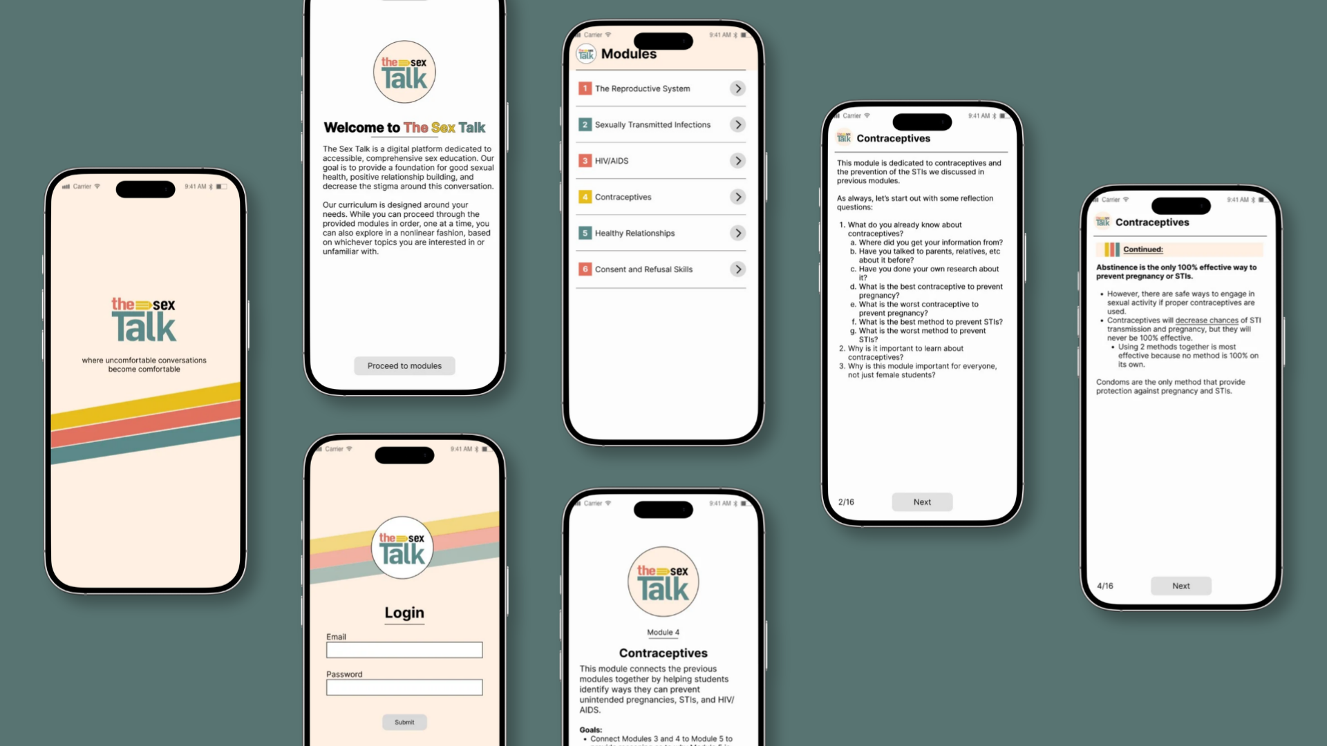 The Sex Talk case study preview